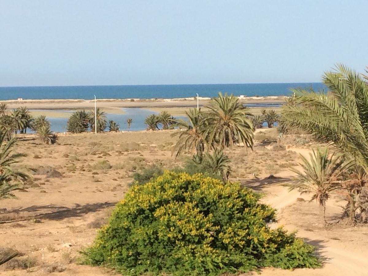 Dar Jasmin Djerba Bed & Breakfast Temlale Ngoại thất bức ảnh